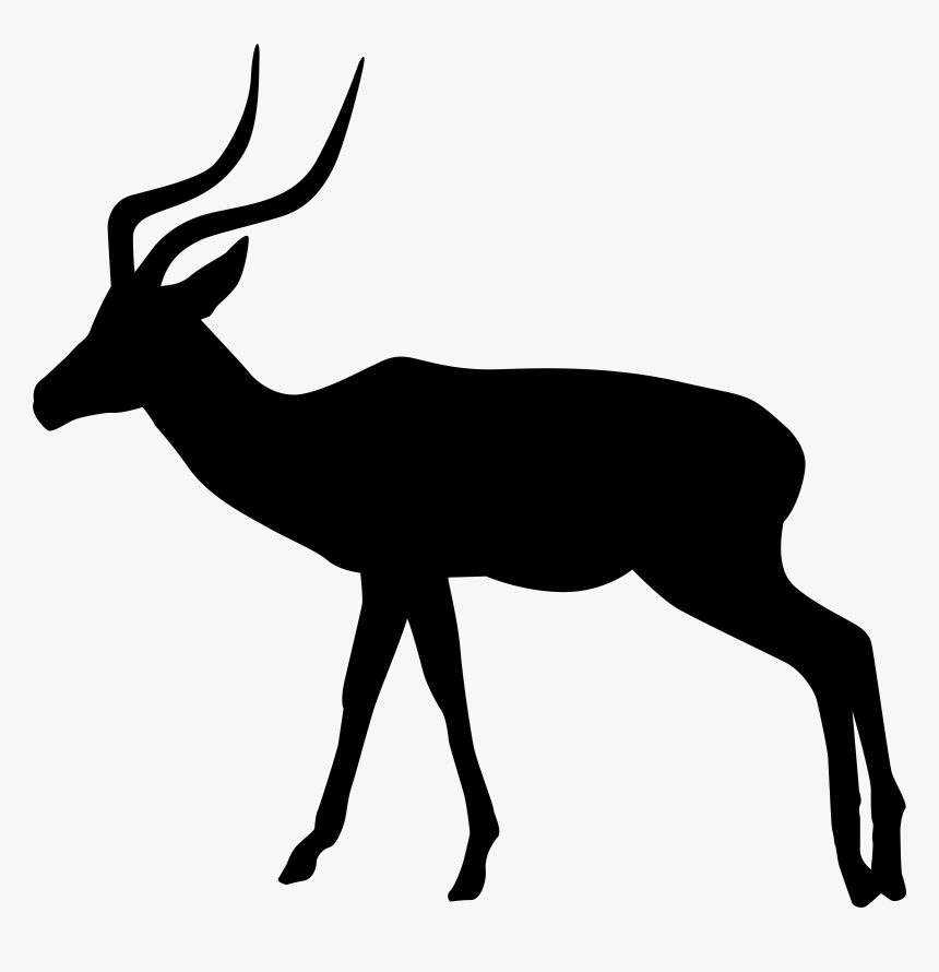 White Tailed Deer Clipart Rusa, HD Png Download, Free Download