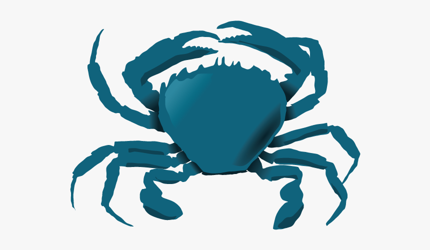Maryland Blue Crab Png - Animal Lives In Water, Transparent Png, Free Download