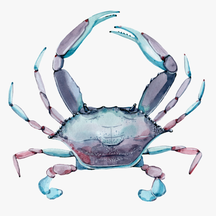 Crab Png Transparent Images - Fresh Crab, Png Download, Free Download