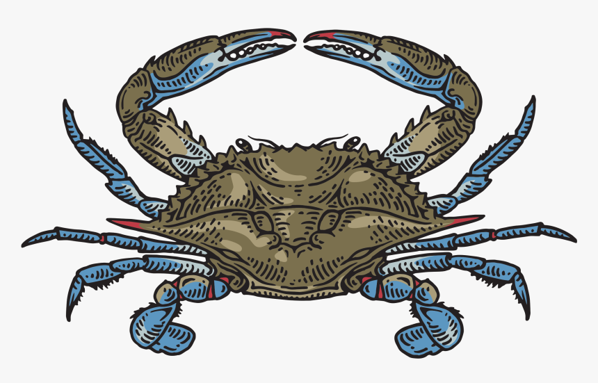 Freshwater Crab, HD Png Download, Free Download