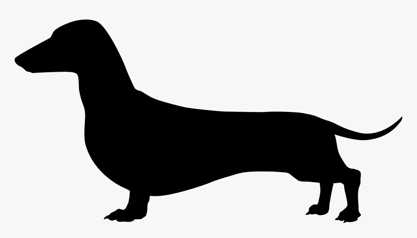 Dachshund Png - Dachshund Clipart Black And White, Transparent Png, Free Download