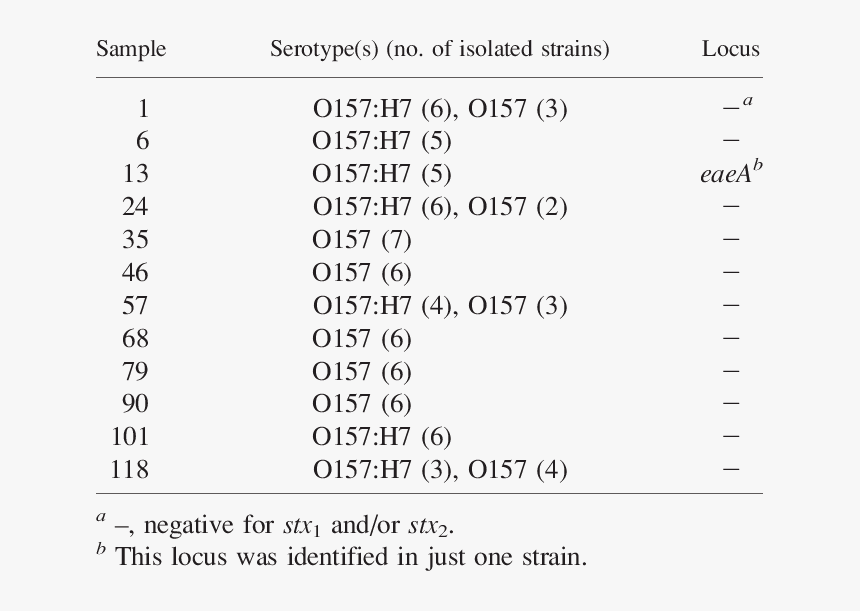 Table For Serotyping Of E Coli, HD Png Download, Free Download