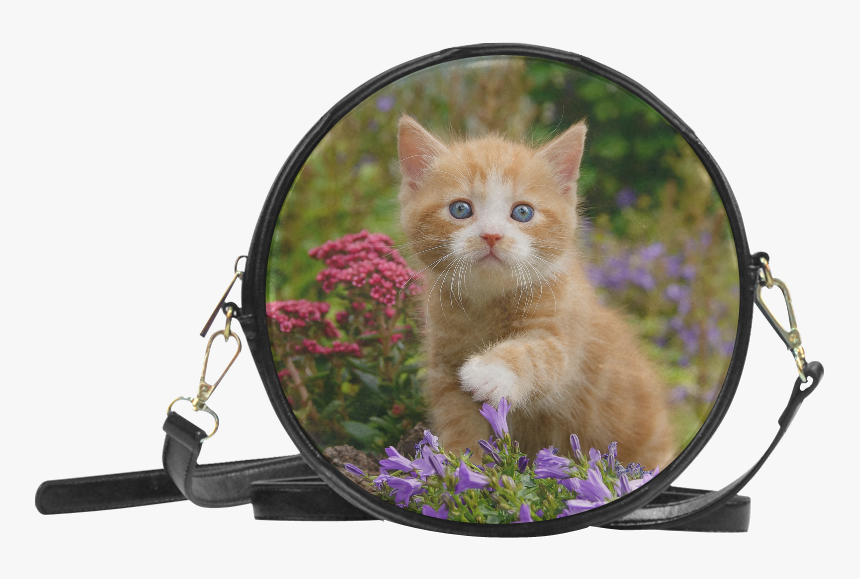 Cute Ginger Kitten Funny Baby Pet Animal In A Garden - Marinette's Bags, HD Png Download, Free Download