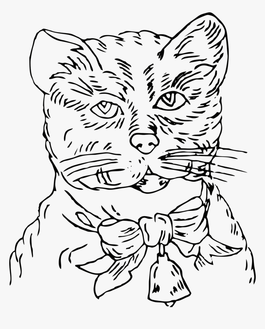 Cat Bell Pet Free Photo - Line Art, HD Png Download, Free Download