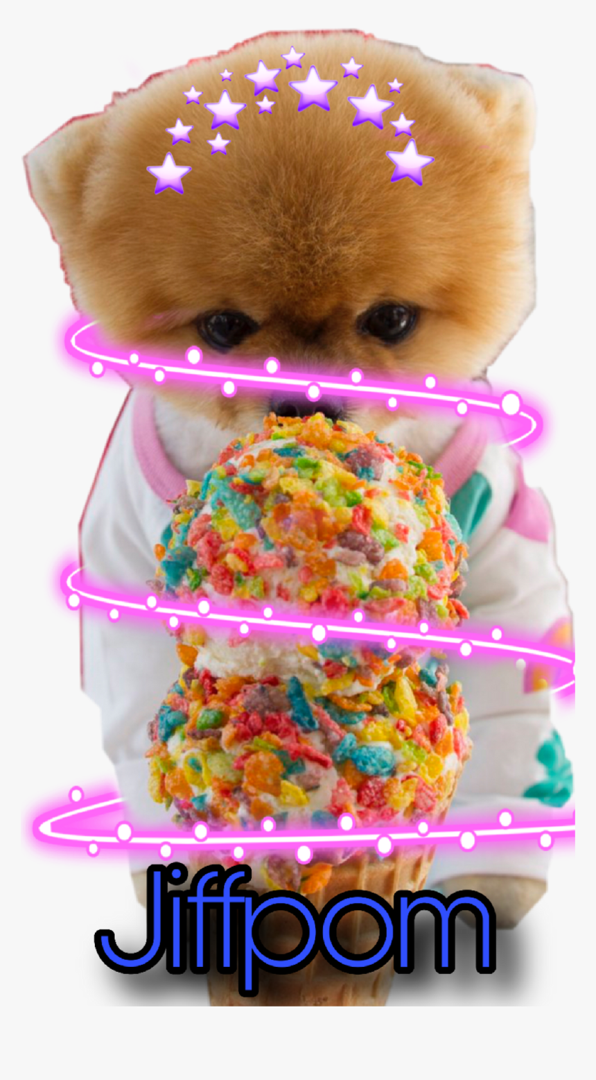 Jiffpom Cutest, HD Png Download, Free Download