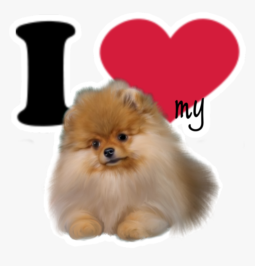 #iheart #dog #pomskyart #pomeranian #pomeranians - Pomeranian, HD Png Download, Free Download