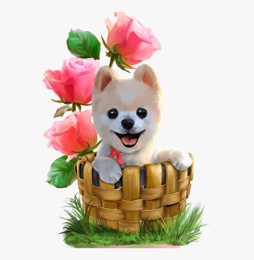 Pomeranian Finnish Spitz French Bulldog Puppy Kitten - Puppy Paint, HD Png Download, Free Download