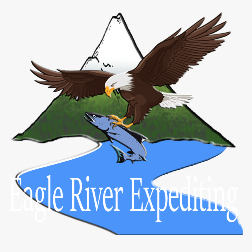 Bald Eagle , Png Download - Bald Eagle, Transparent Png, Free Download