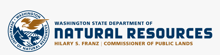 Orange, HD Png Download, Free Download