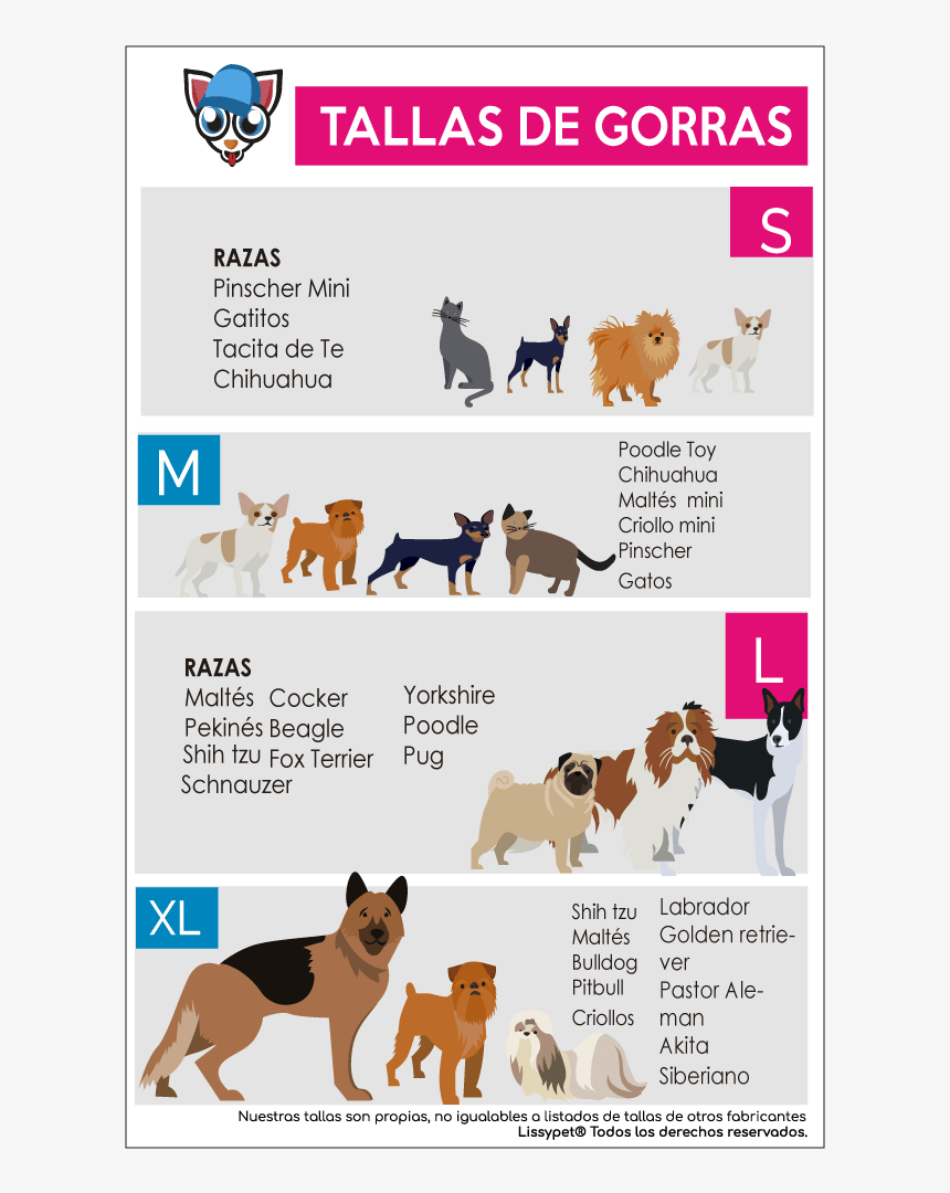 Tallas Gorras Para Perro Lissypet - Dog Licks, HD Png Download, Free Download