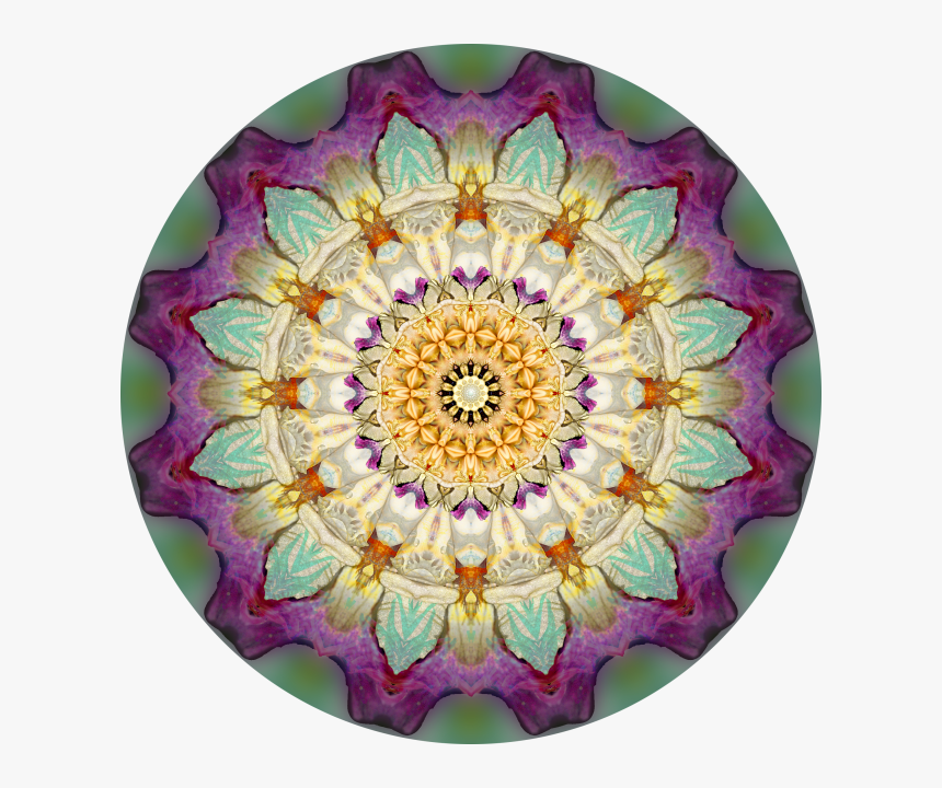 Circle, HD Png Download, Free Download