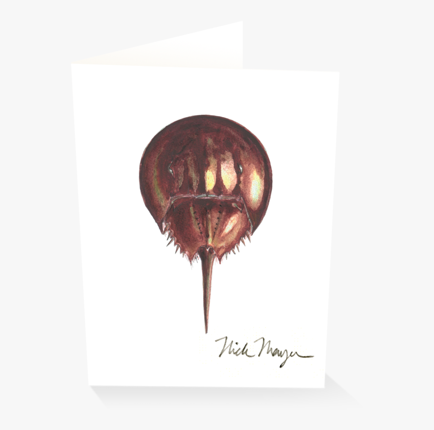 Horseshoe Crab - Flightless Bird, HD Png Download, Free Download