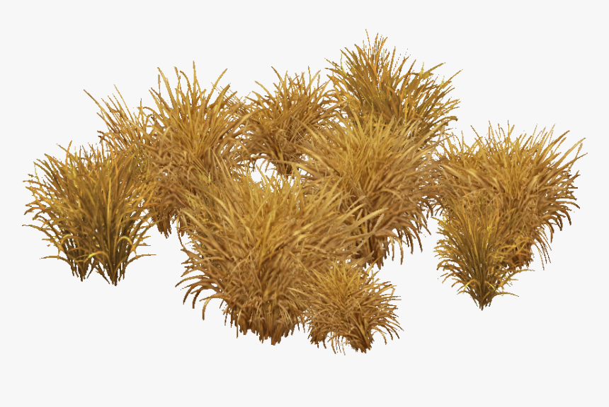 Grass, HD Png Download, Free Download