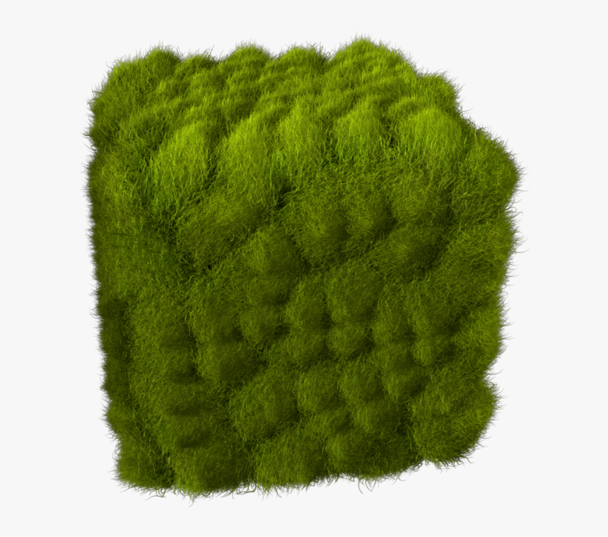 Grass - Wool, HD Png Download, Free Download