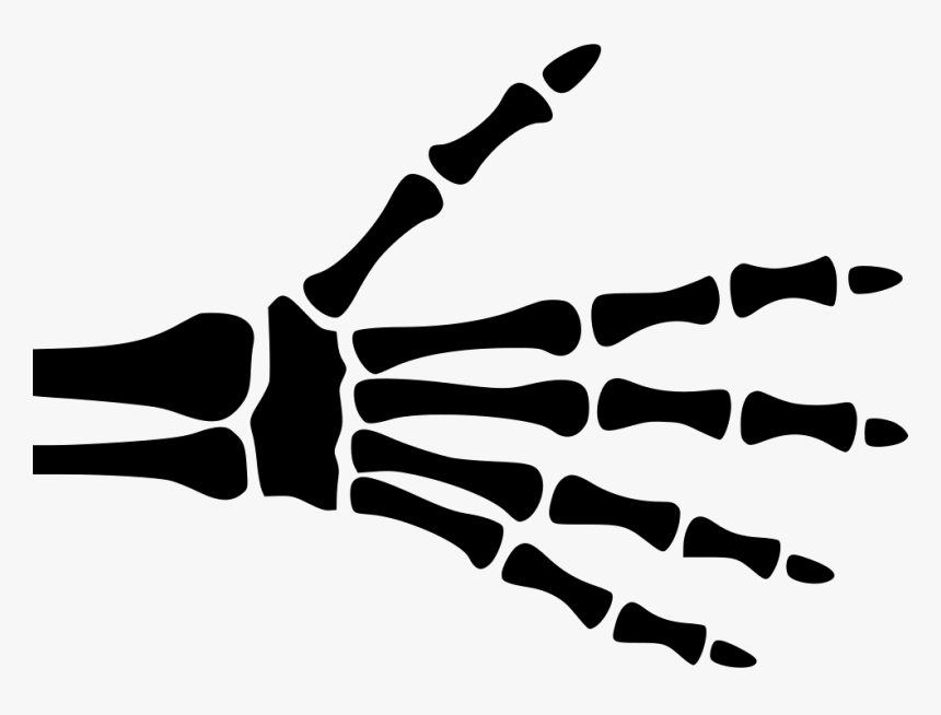 Hand Skeleton - Hand Xray Png, Transparent Png, Free Download