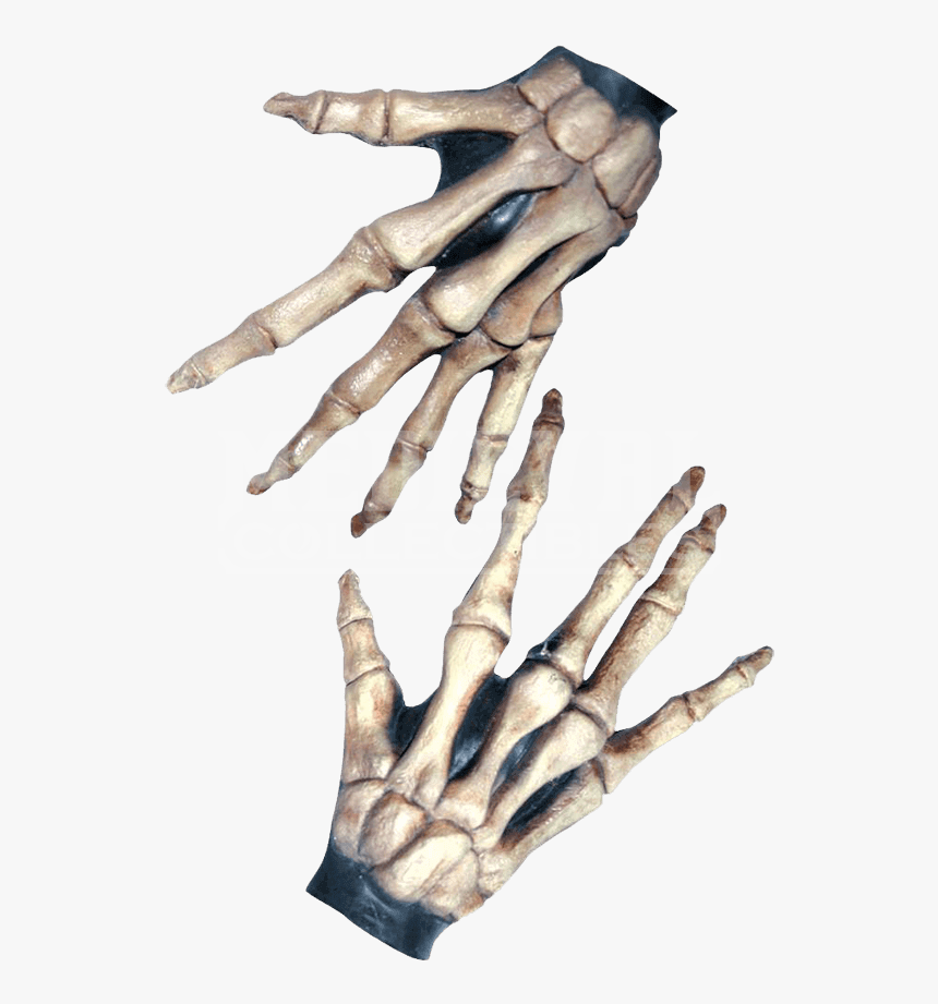 Bone Hands Png - Skeleton Hand Costume, Transparent Png, Free Download