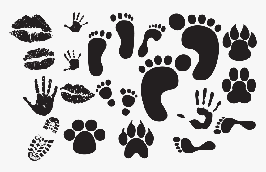 Feet Vector Free Download, HD Png Download, Free Download