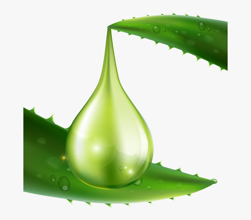 Aloe Vera Carrier - Aloe Vera Extract Drop, HD Png Download, Free Download