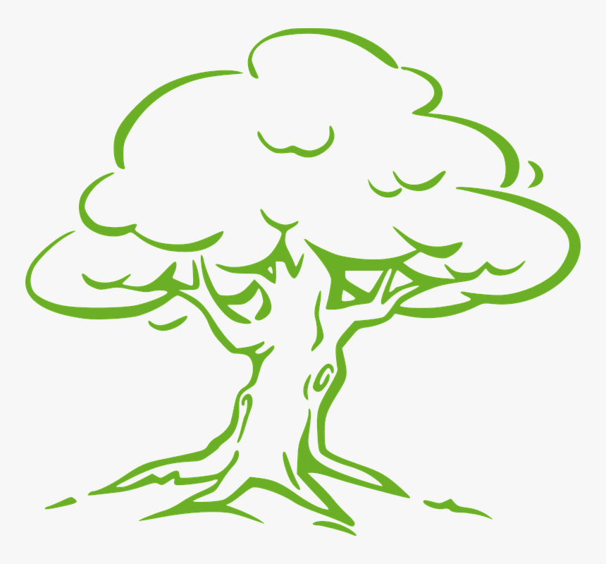 Oak Tree Simple Drawing, HD Png Download, Free Download