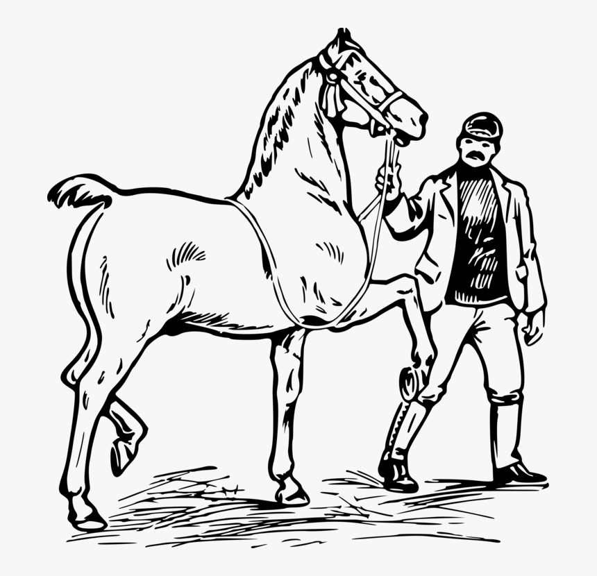 Pony,livestock,horse Tack - Man On A Horse Clipart, HD Png Download, Free Download