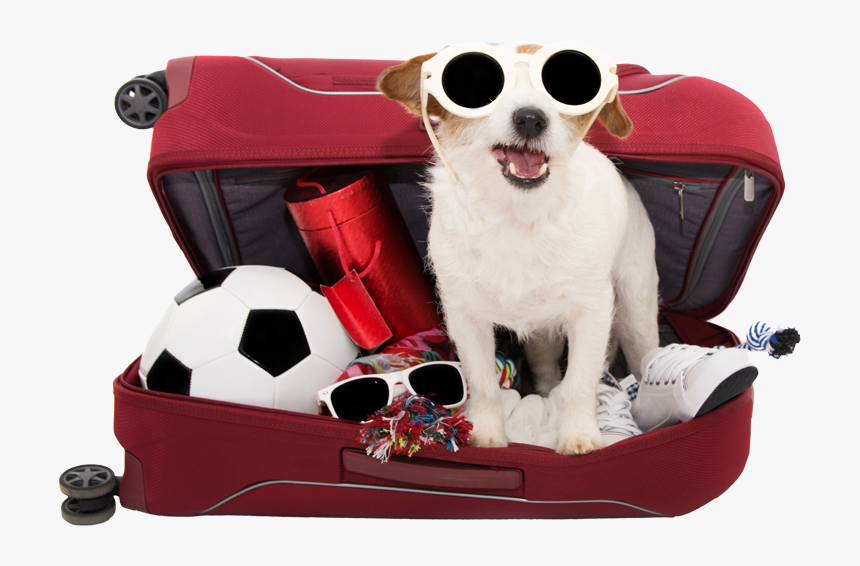 Baggage, HD Png Download, Free Download