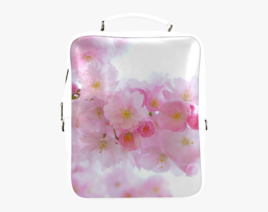 Beautiful Pink Japanese Cherry Tree Blossom Square - Cherry Blossom, HD Png Download, Free Download