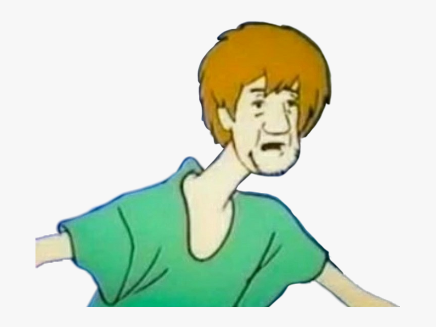 #reaction #what #whoa #shaggy #meme #wtf #stop #scoobydoo - Dumb Shaggy, HD Png Download, Free Download