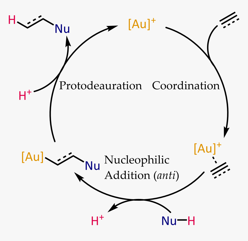 Gold Catalyzed Hydrofunctionalization - Gold Catalysis Mechanism, HD Png Download, Free Download