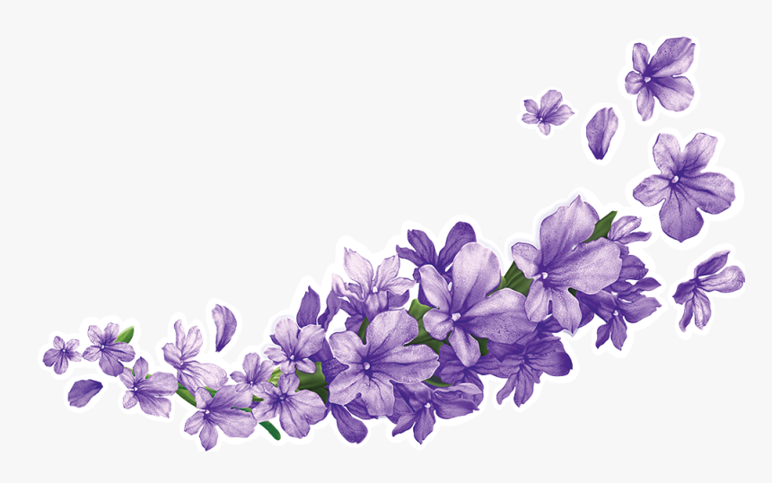 Warehouse Backgrounds, Mob Big - Flower Wisteria Png, Transparent Png, Free Download