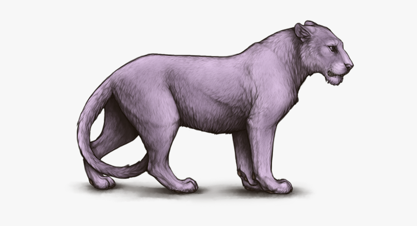 Tigon Mane, HD Png Download, Free Download