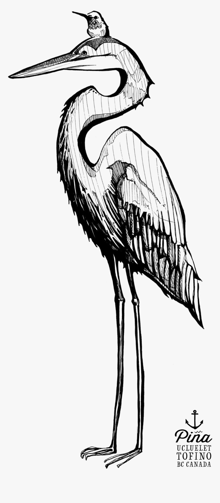 Stork, HD Png Download, Free Download