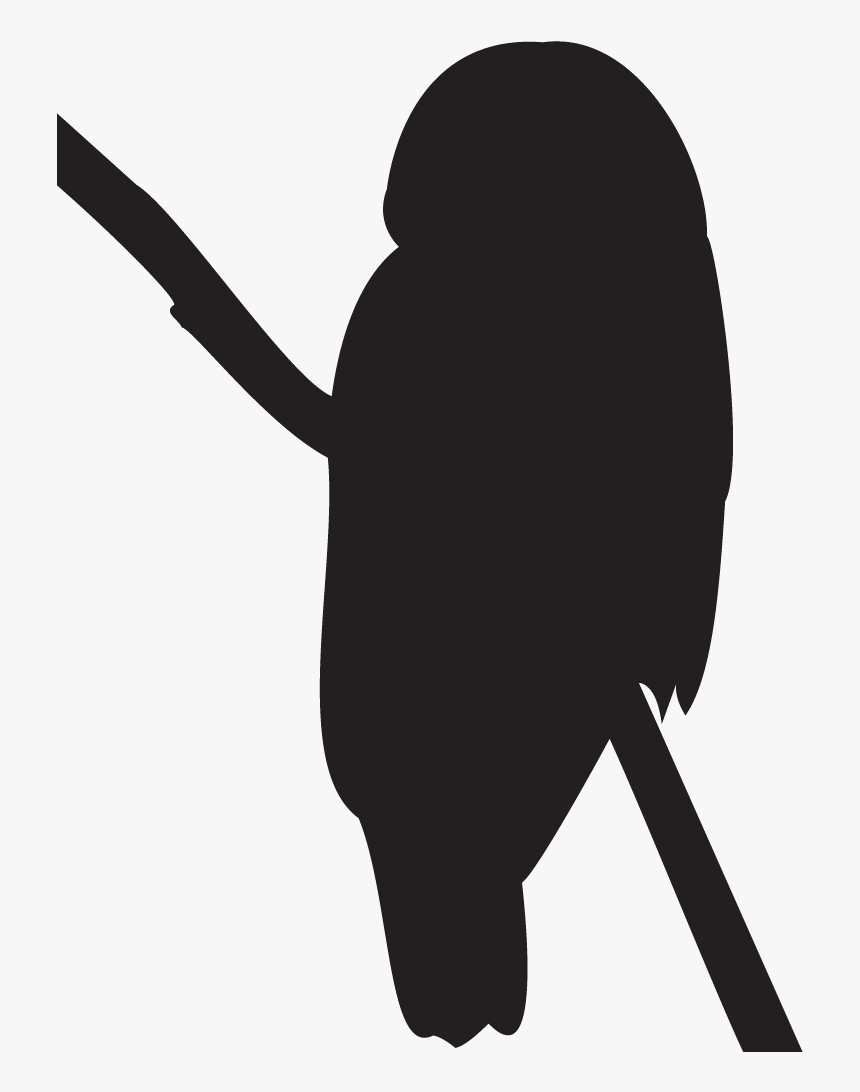 Northern Saw Whet Owl Silhouette, HD Png Download, Free Download