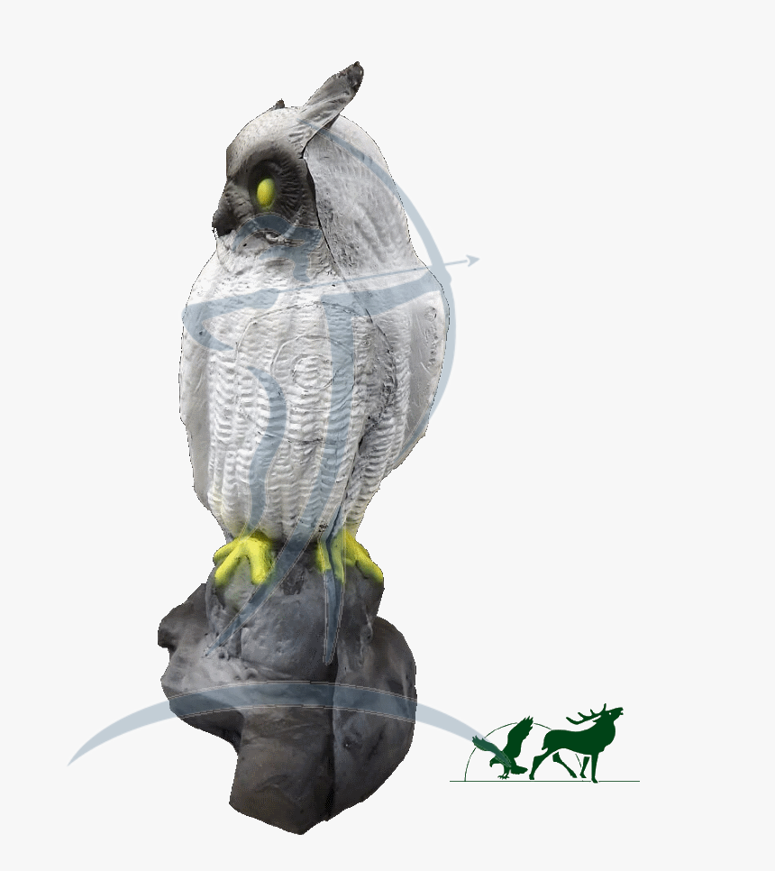 Leitold 3d-target Snow Owl - Figurine, HD Png Download, Free Download
