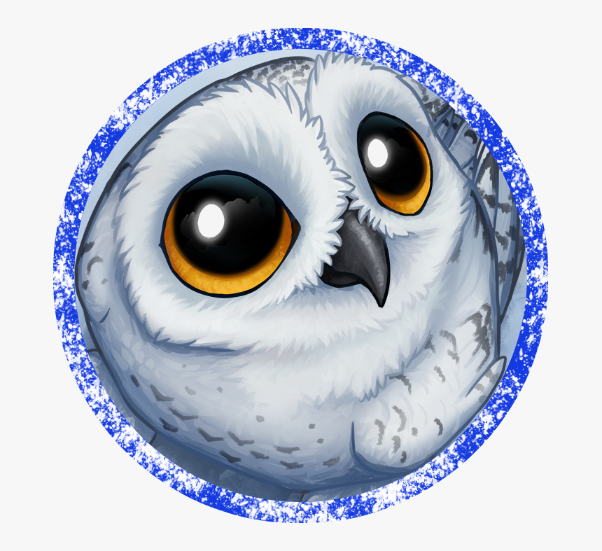 Owl Drawing, HD Png Download, Free Download