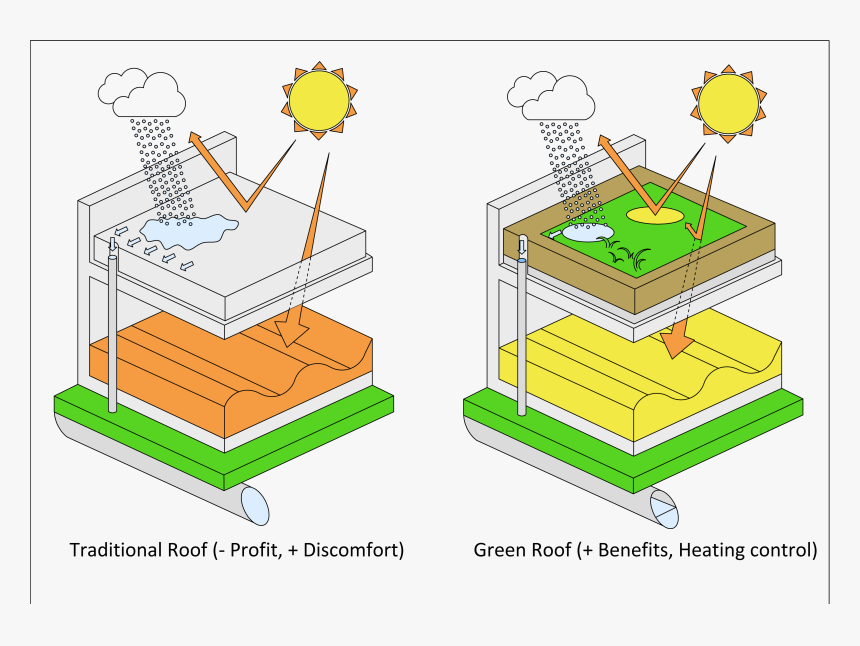 Diagram, HD Png Download, Free Download