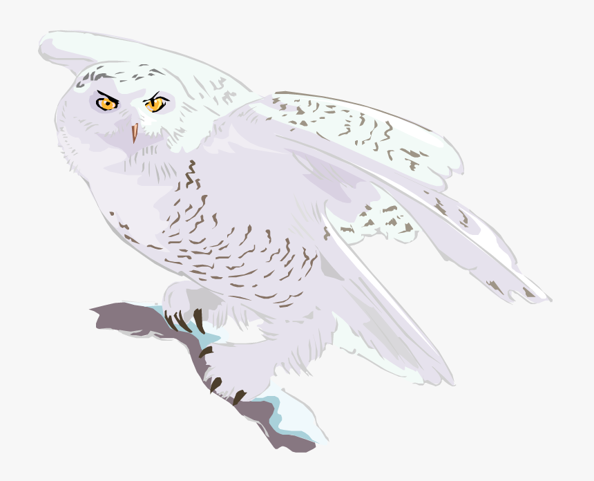55-551066_flying-transparent-snowy-owl-c