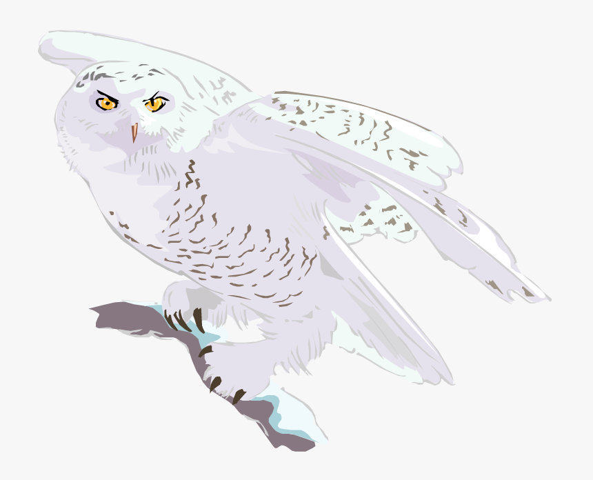 Flying Transparent Snowy Owl Clipart, HD Png Download, Free Download