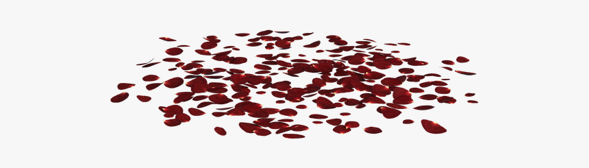 Rose, Petals, Scattered, Floral, Bloom, Nature, Red - Пнг Лепестки, HD Png Download, Free Download