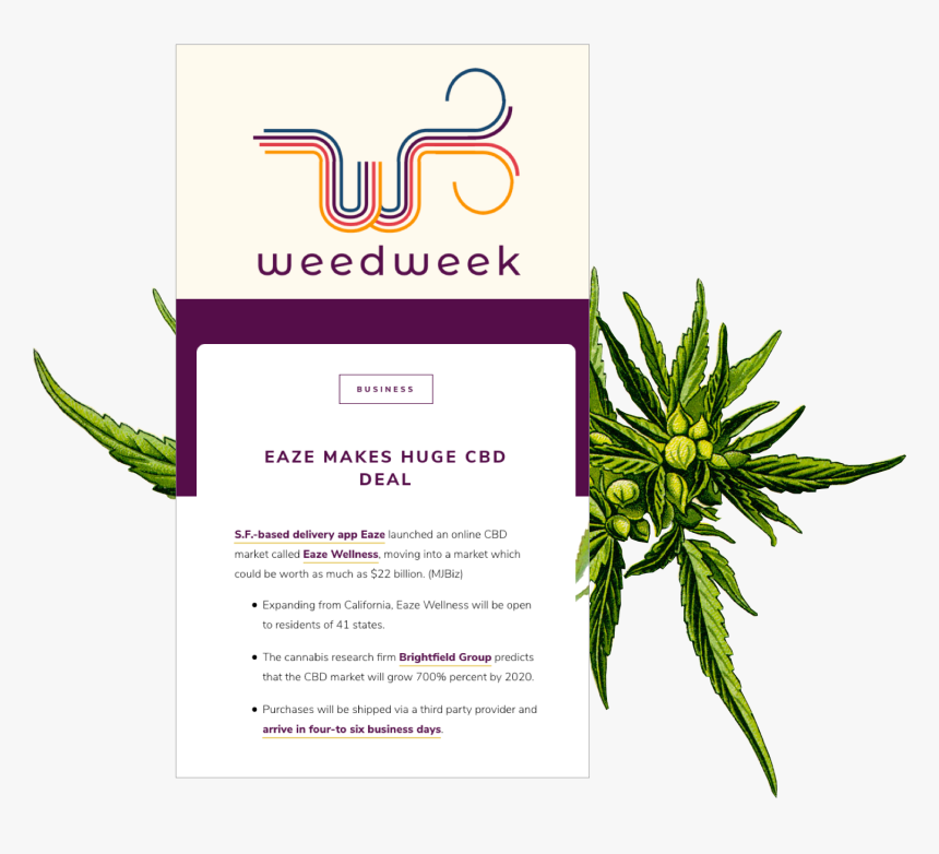 Cannabis Email Examples, HD Png Download, Free Download