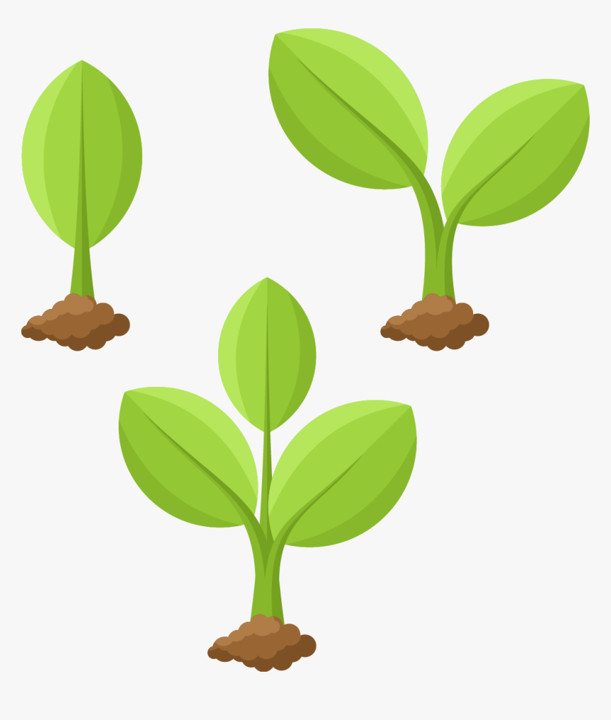Transparent Plant Growing Png - Plant Drawing Png, Png Download, Free Download