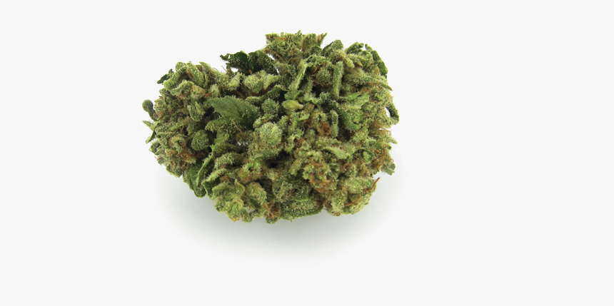 Nug Transparent Background Weed Png, Png Download, Free Download