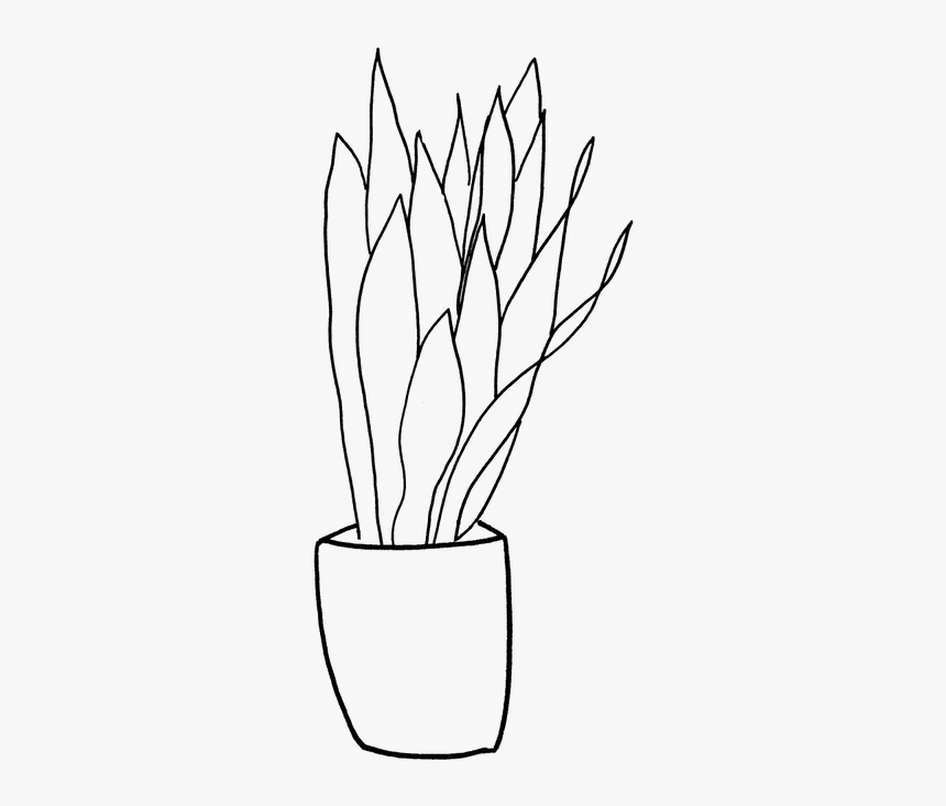 Picture - Flowerpot, HD Png Download, Free Download