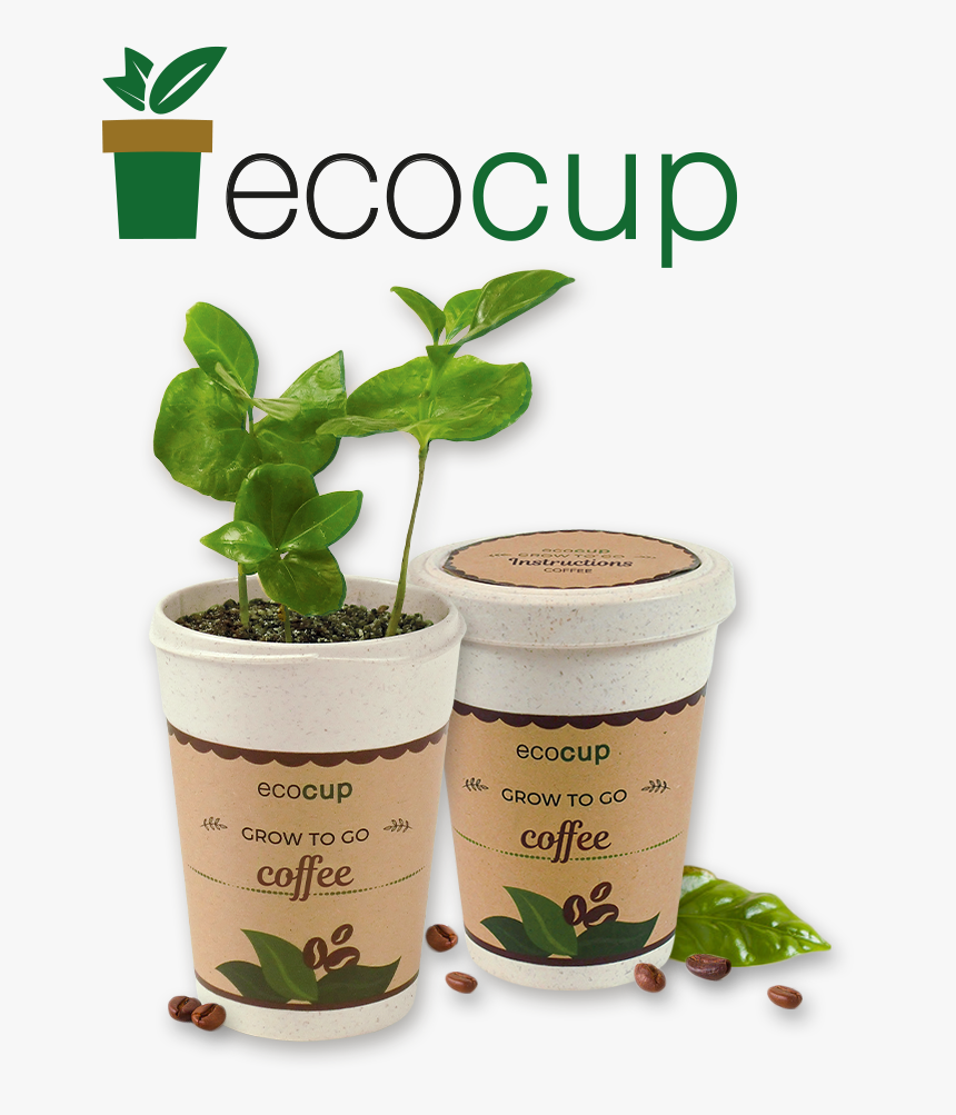 Transparent Plant Growing Png - Feel Green Eco Cup, Png Download, Free Download