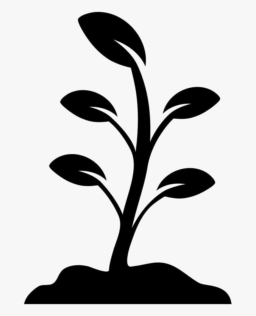 Growing Plant - Plant Vector Black And White, HD Png Download, Free Download