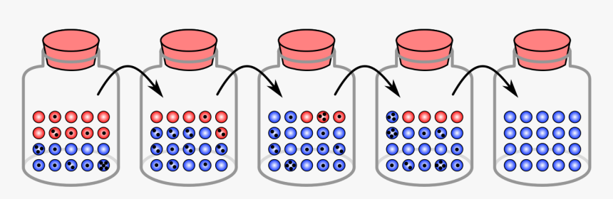 Genetic Drift, HD Png Download, Free Download