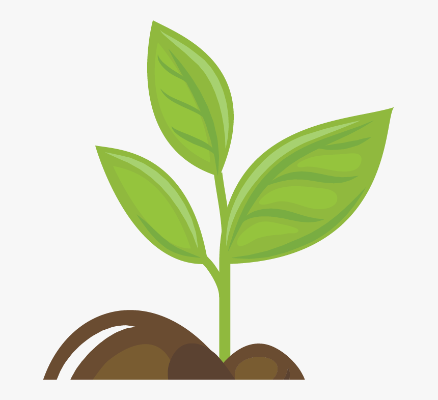 Growing Plants Animation Png, Transparent Png, Free Download