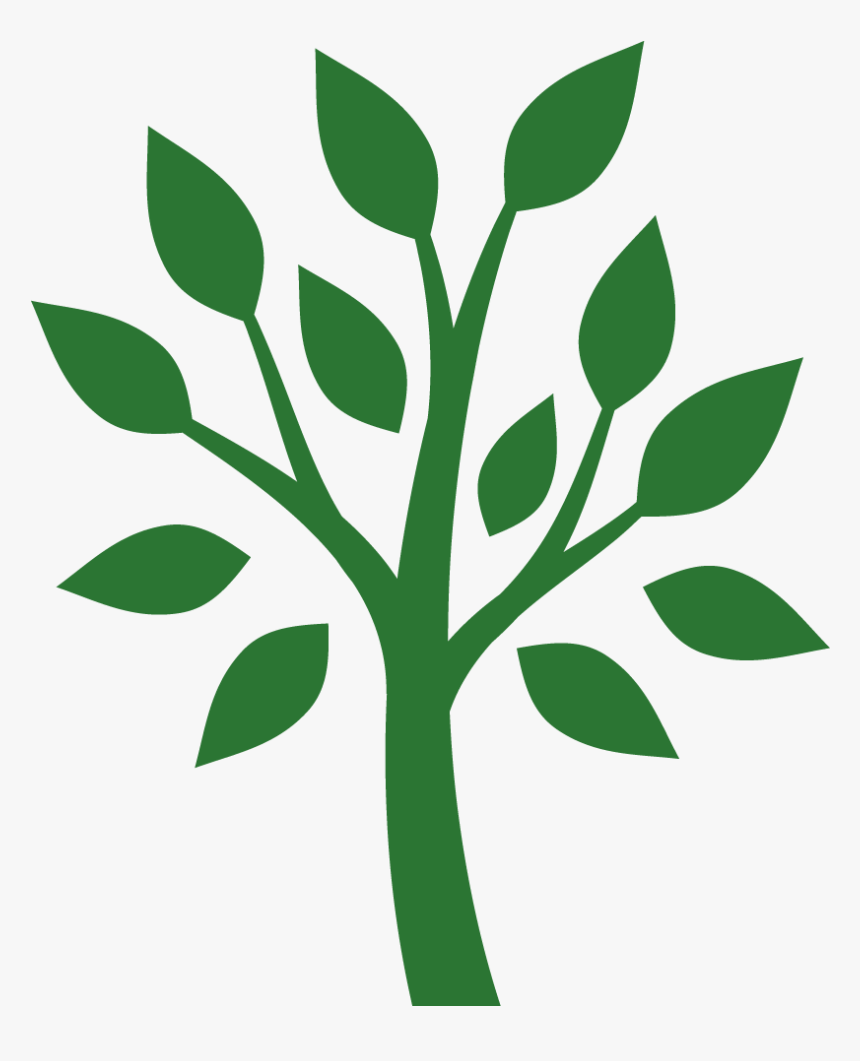 Transparent Plant Stem Clipart - Tree Planting Clipart, HD Png Download, Free Download