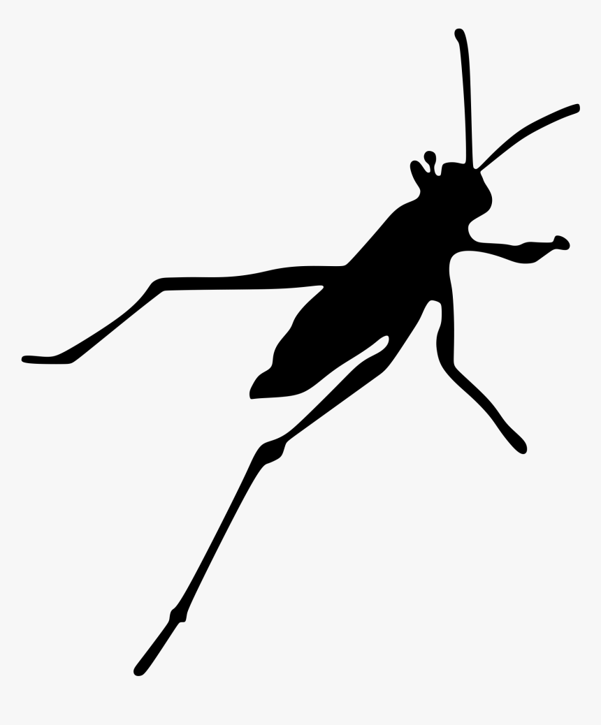 Grasshopper, HD Png Download, Free Download