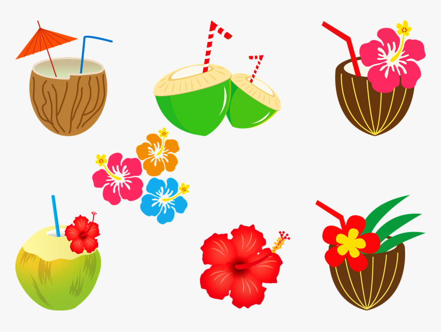 Coconut Cocktail Alcohol Hibiscus Free Picture, HD Png Download, Free Download