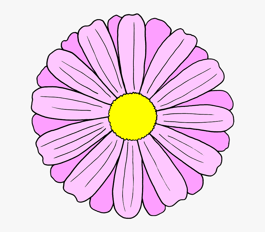 Dibujo, Flor, Primavera, Margarita, Rosa, Pétalos - Flor De Primavera Desenho, HD Png Download, Free Download